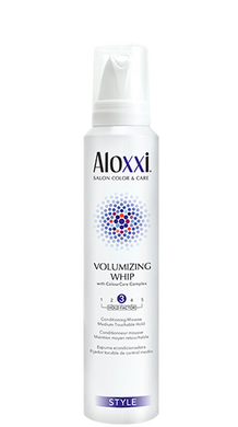 VOLUMIZING WHIP by Aloxxi